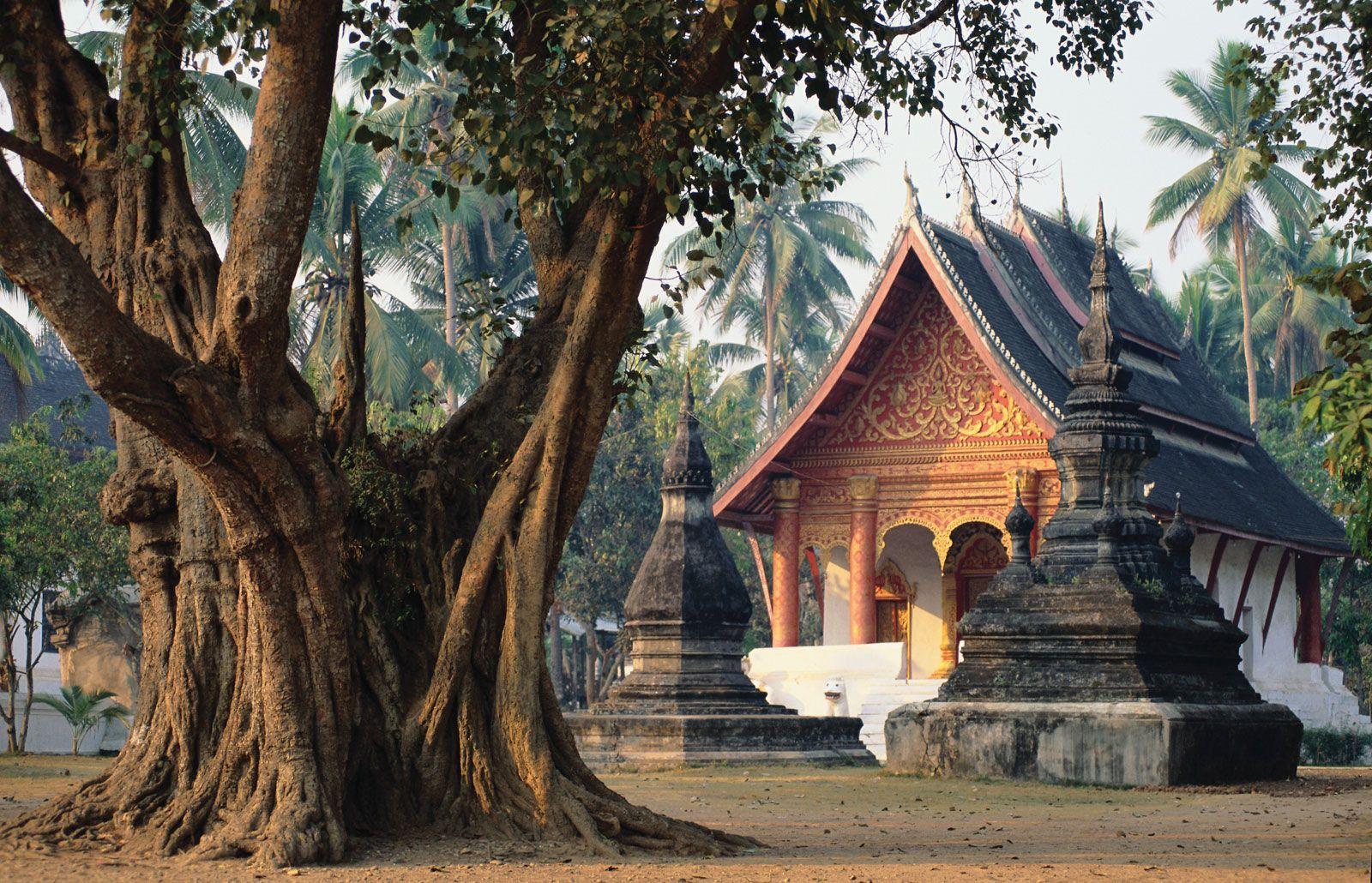 Highlights of Laos 6 days